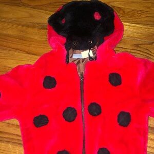 Cute Red Ladybug Hoodie with Black Spots vintage